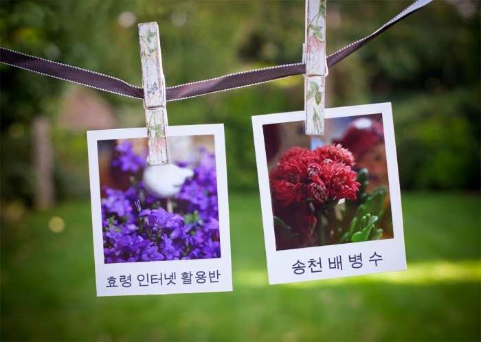 포니어 이미지