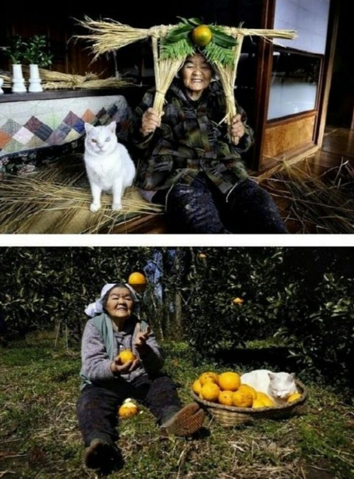 손녀가 찍어준 할머니와 고양이의 동거동락 | 인스티즈