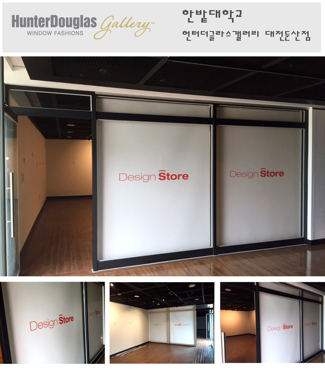 대전실사 이미지