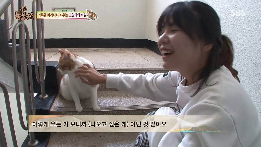 [동물농장] 존트 할말 다 하고 사는 수다쟁이 고양이 쪼롱이ㅋㅋㅋㅋ.jpg | 인스티즈