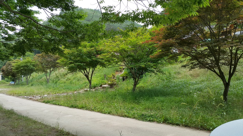 사미정계곡펜션 이미지