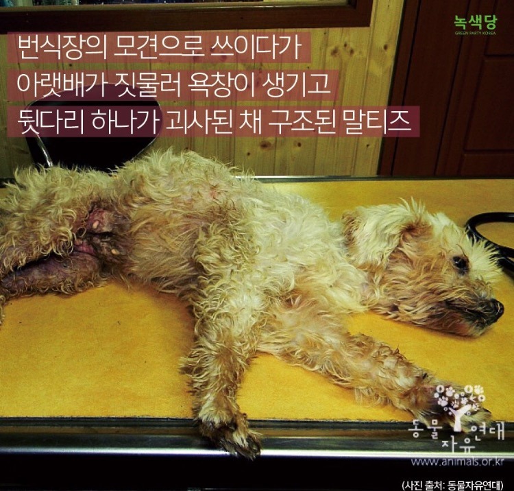 인간의 잔인함 .jpg | 인스티즈