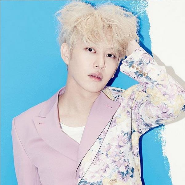 연예인들이 키우는 반려동물(반려묘) | 인스티즈