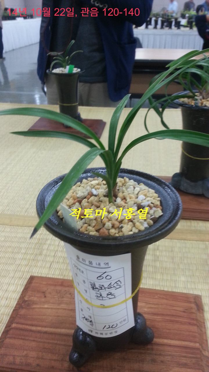 한국공판장 이미지
