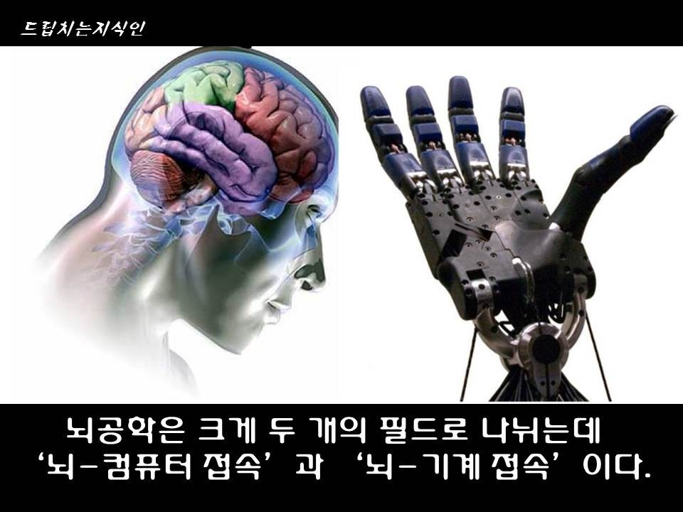  어마어마한 일들을 하고 있는 첨단 뇌공학 | 인스티즈