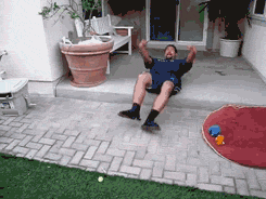 너무 귀여운 새끼 강아지들 .gif | 인스티즈
