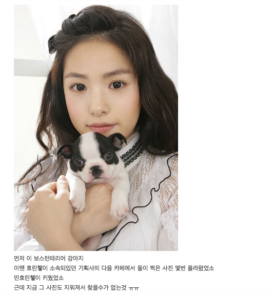 악플 엄청 받고 있는 민효린 반려 동물 사건 정리 글.......jpg | 인스티즈