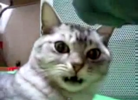 누가 페로몬 흘리고 다니는지 확인하는 방법.jpg | 인스티즈