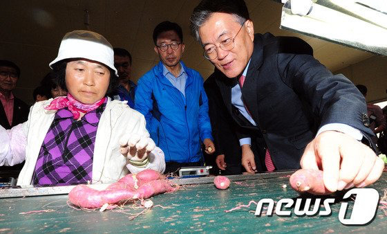 🍠 고구마와 고구마 🍠 | 인스티즈