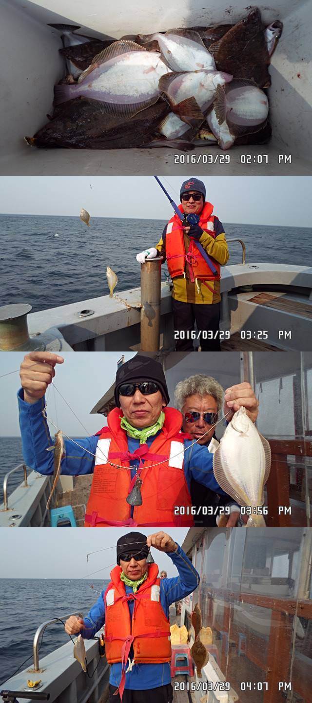 자미 이미지