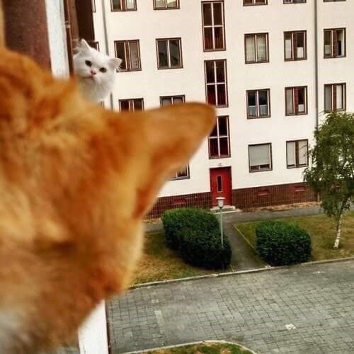 누군가 보지말아야 할 곳에서 날 보고있다 | 인스티즈