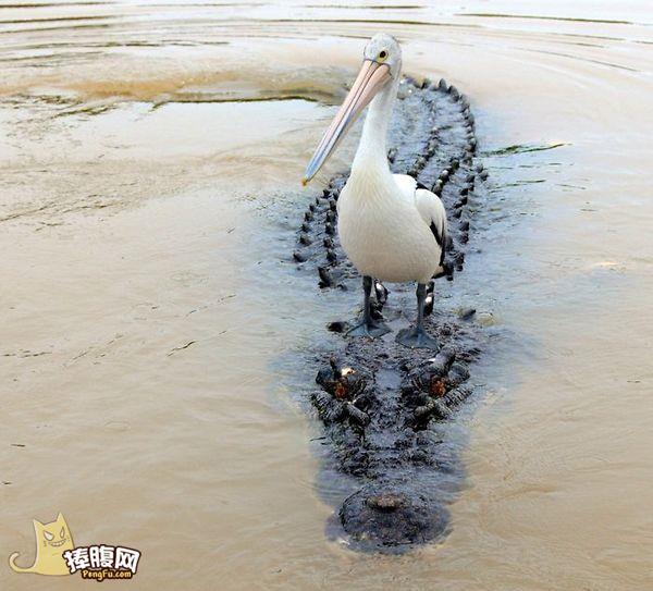 오빠발 이미지