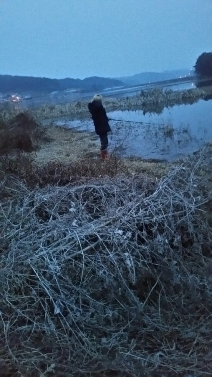 이프로2호 이미지