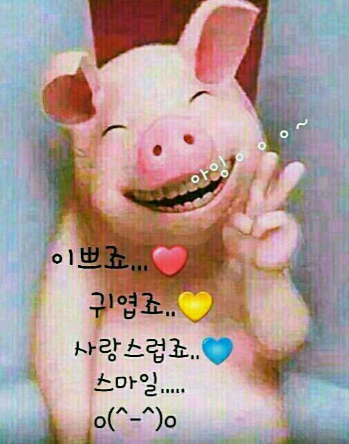 황금 이미지