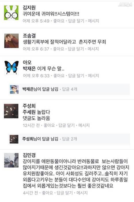 흥미돋는 강아지 유치원 궁물 (feat.전국 개교육의 실상) | 인스티즈