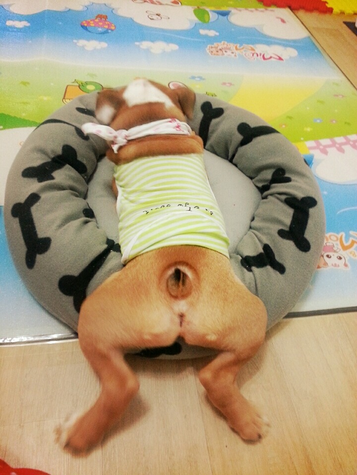 뽕자 이미지