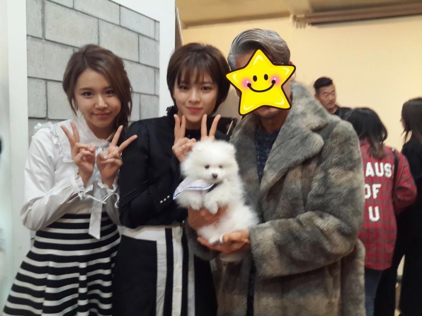 [트와이스] 광고 촬영 중 멍뭉이에 정신팔린 맴버들 ㅋㅋ | 인스티즈