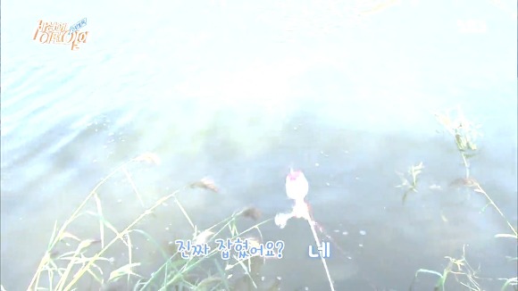 배로 고기잡는 사람 | 인스티즈