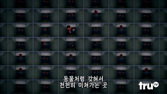 교도소의 독방 감금의 위험성.jpg | 인스티즈