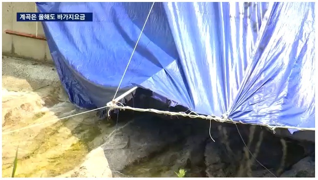 해외여행 늘어나는 이유 | 인스티즈