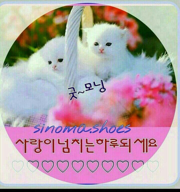 해피데이 이미지