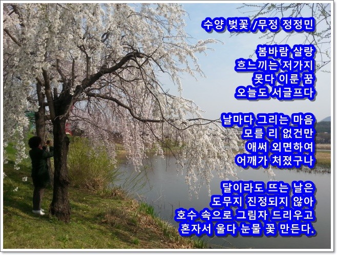 봄날,꽃 이미지
