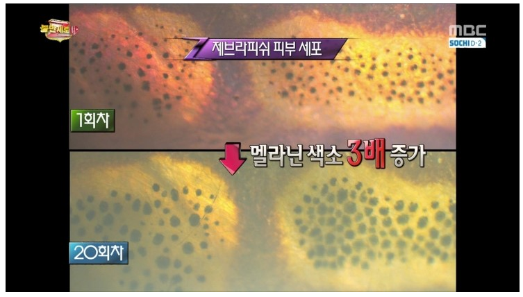  물티슈의 위험성... | 인스티즈
