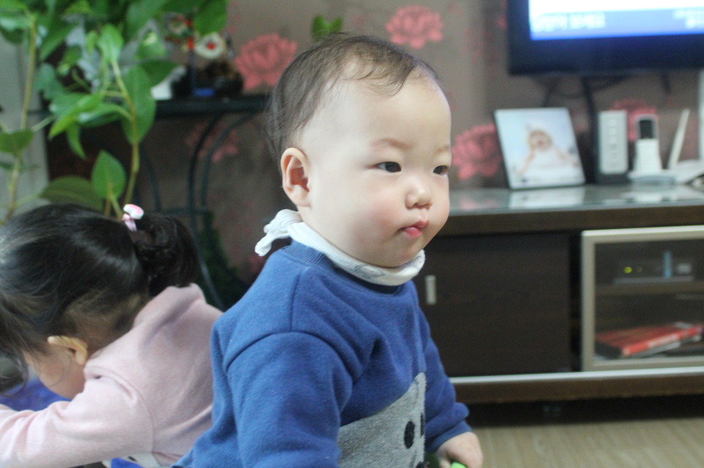 시온커튼 이미지