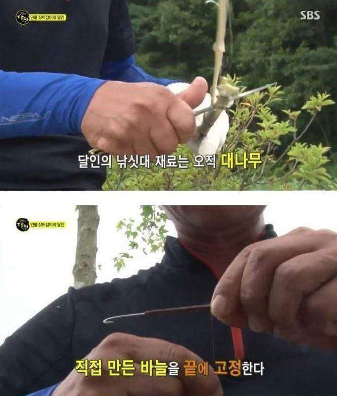 장어의 효과 | 인스티즈