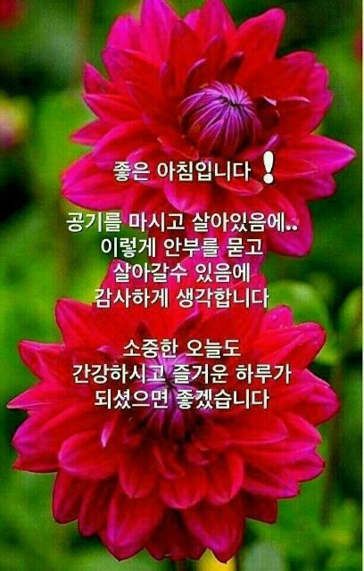 가지가지 이미지
