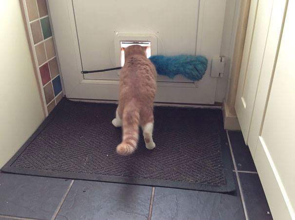 세상에서 가장 이해하기 힘든 분들 | 인스티즈