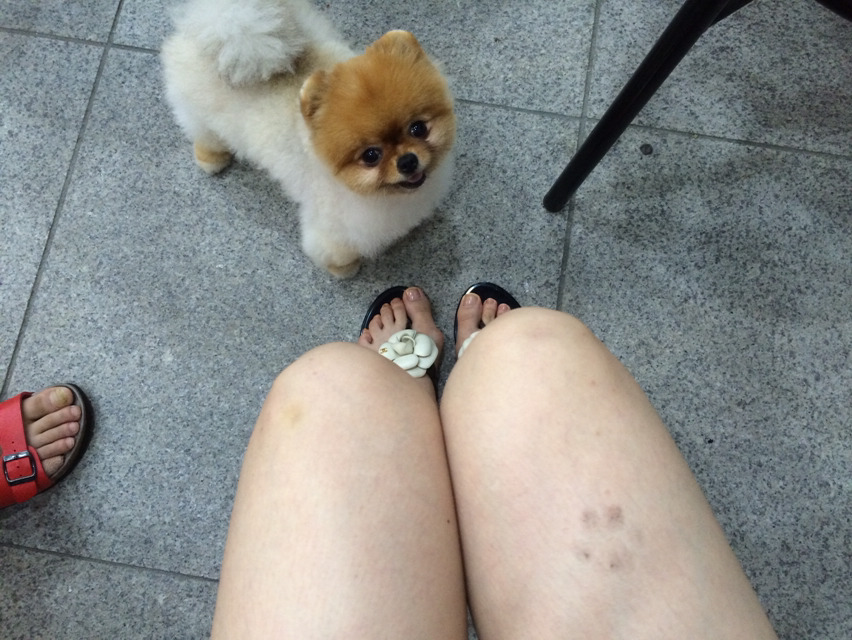 아경기술 이미지