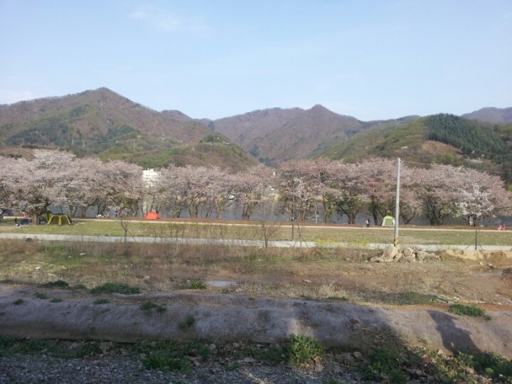 대성오토 이미지