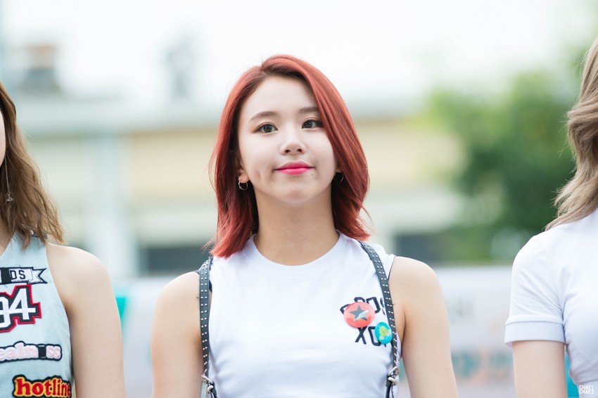 [트와이스] 심바 닮아서 아기맹수라고 불리는 채영이 짤들.jpg | 인스티즈