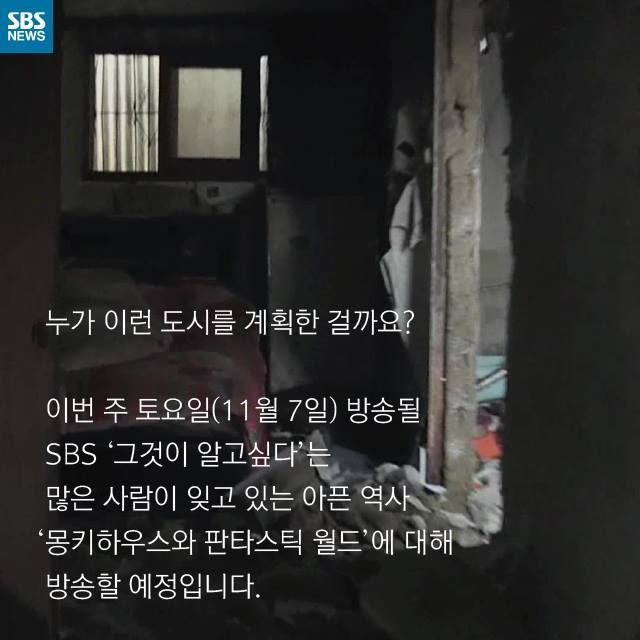  우리는 원숭이가 아닙니다 | 인스티즈
