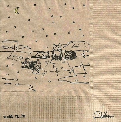 길고양이 일기.jpg | 인스티즈