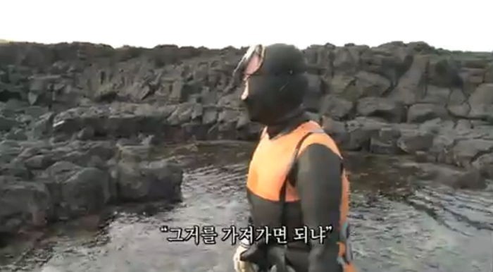 제주도 해녀 할머니 전복 훔쳐간 중국 여자들 ㅎㄷㄷ | 인스티즈