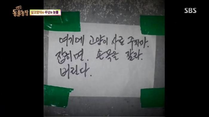 눈앞에서 제 아이가 맞아죽었습니다. 도와주세요 | 인스티즈