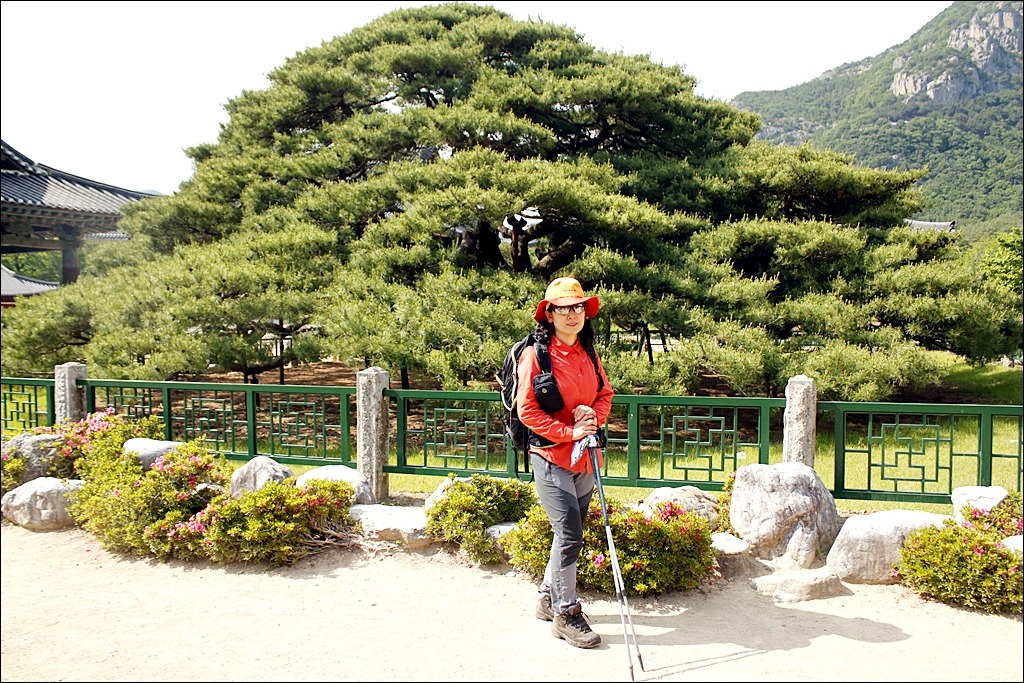엄상궁 이미지