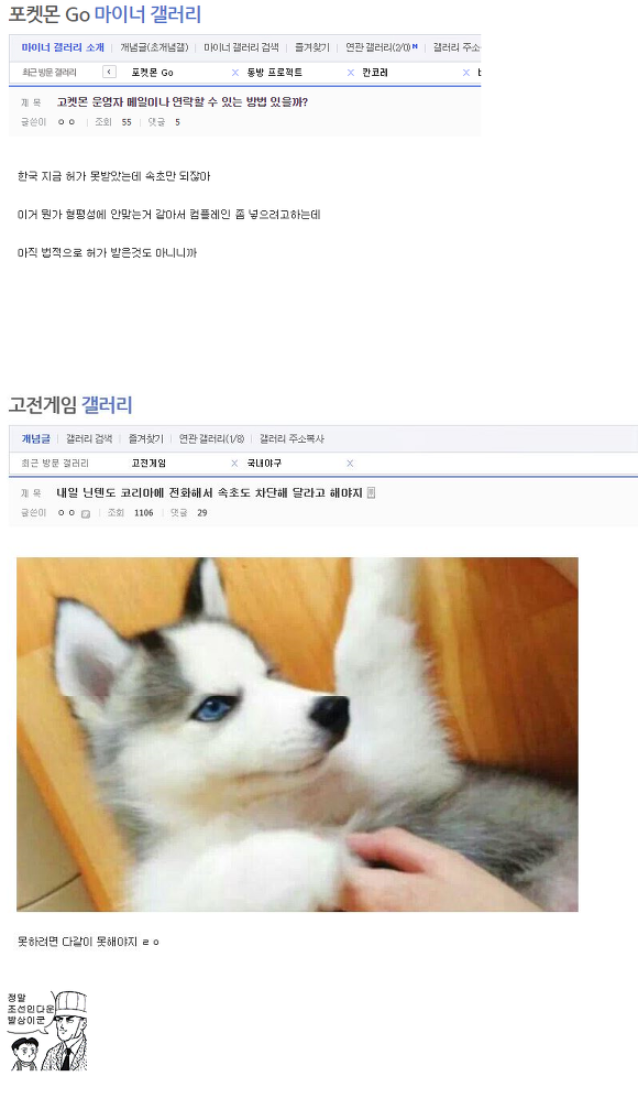 포켓몬 GO 속초마을 무너뜨리고싶은 한쿡인.jpg | 인스티즈