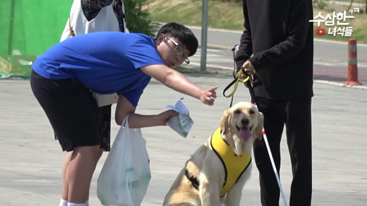 강아지에게 길을 알려달라고 한다면 사람들은 알려줄까? 몰래카메라 (유튜브 수상한녀석들) | 인스티즈