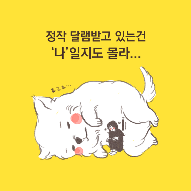 반려동물 공감만화.jpg | 인스티즈