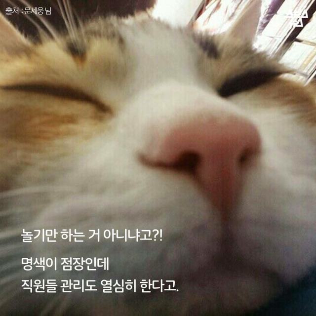 편순이 처음 보냥? | 인스티즈