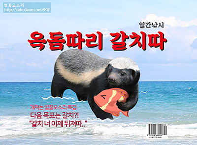 짱예인 러시안블루 털색 시골 강아지 | 인스티즈