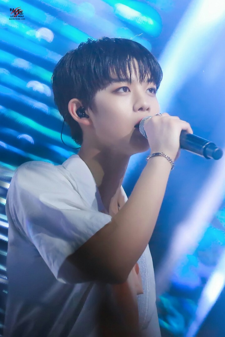 배*진 이미지