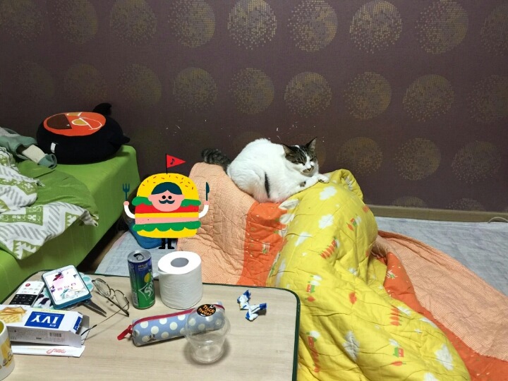 룸메가 자는데 앓는 소리가 나서 뒤돌아보니.twt | 인스티즈