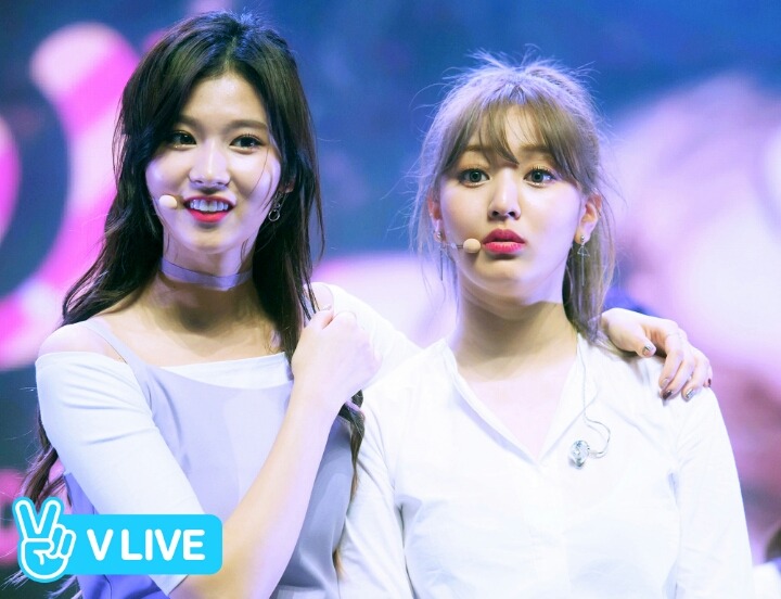 지효 × 트와이스 케미 | 인스티즈