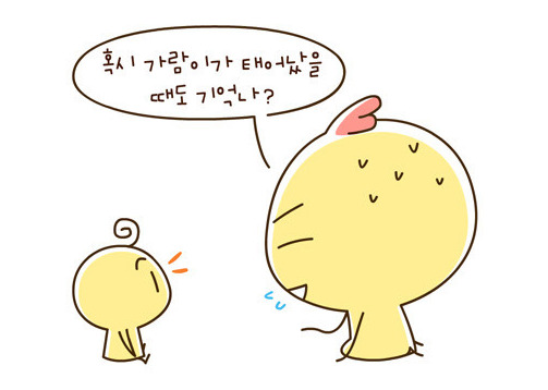  아이들의 신기한 기억력 | 인스티즈