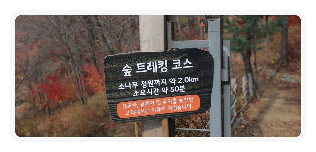 하담숲 이미지