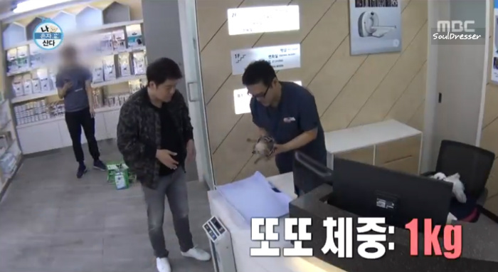 [나혼자산다] 전현무와 17살 반려견 또또 이야기.jpg | 인스티즈